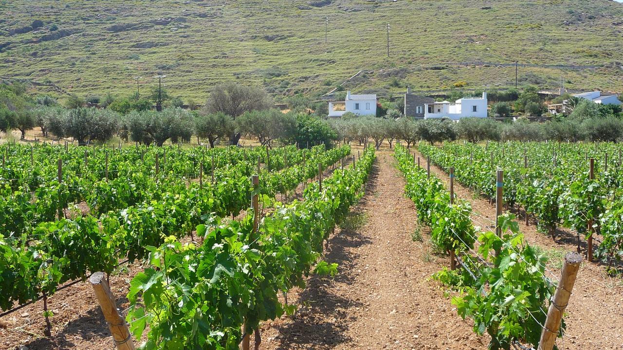Villa Red Tractor Farm Korissia  Exterior foto